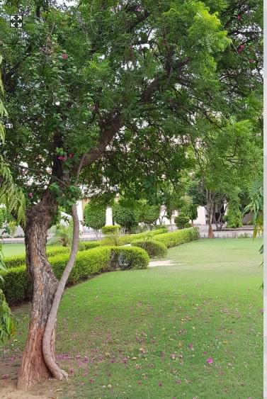 Apeejay Stya University, School of Pharmaceutical Sciences Gurgaon campus photo 5